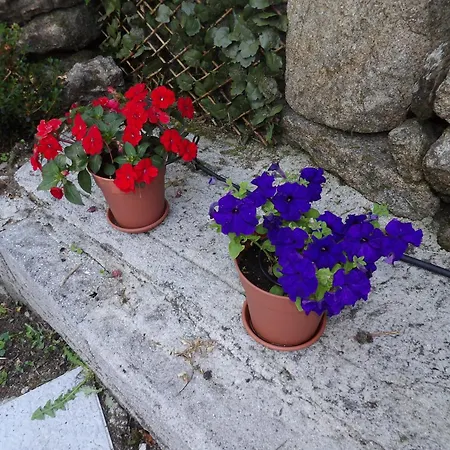 Casa Con Parra De Uva Y Paz *